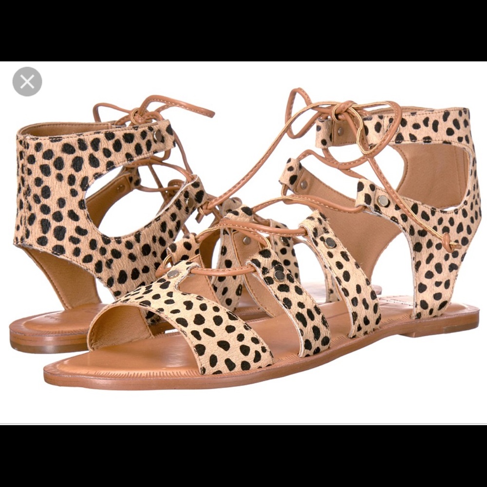 Dolce Vita Leopard Jasmyn Gladiators